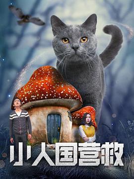 樱花小猫的视频大全